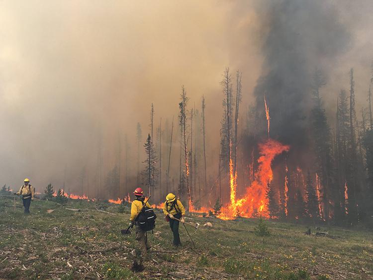 Picture of Firefighting in Summit County
