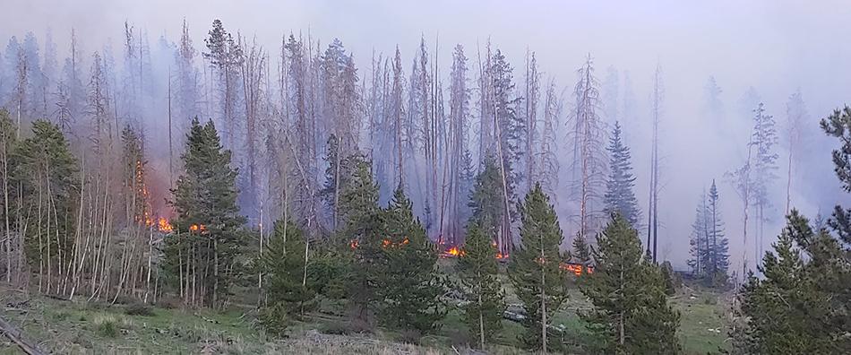 Picture of a Threatening Wildfire in Summit County