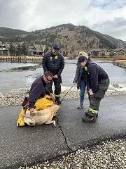 Dog rescued from falling through ice at Copper Mountain